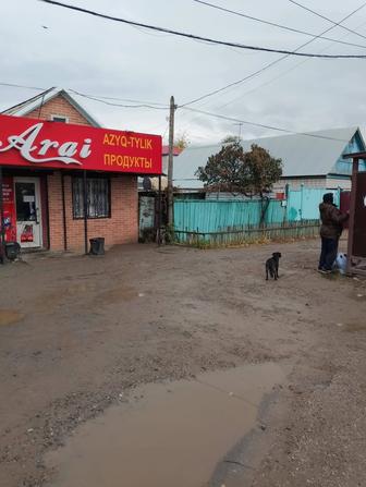 Диван тазаламаймын