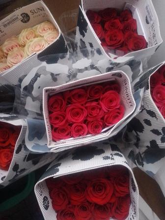 Срочно продам цветы