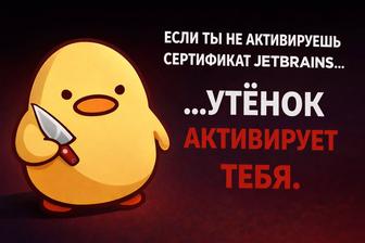 JetBrains All Products Pack официальный сертификат
