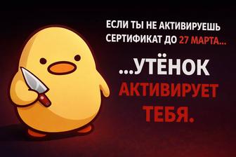 JetBrains All Products Pack официальный сертификат