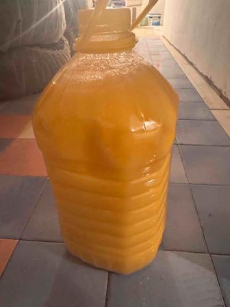 Мед натуральный катонкарагайский