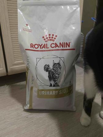 Royal Canin Urinary, лечебный корм от МКБ для кошек