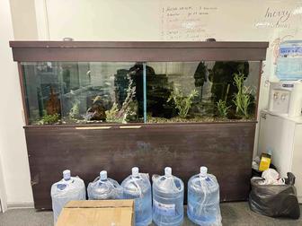продаю аквариум вместе тумбами