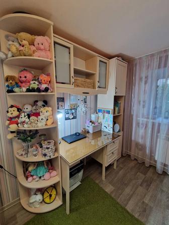 Продам гарнитур для учебы (рабочее место)