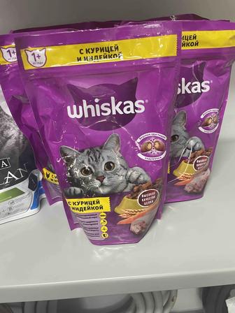 Корм Whiskas для взрослых курица, индейка 0.35 кг