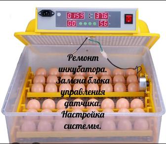 Ремонт инкубатора.