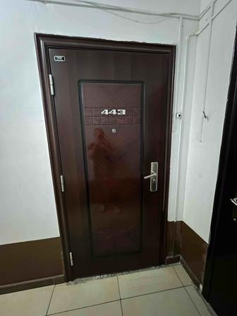 Входная дверь