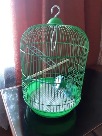 Клетка для птиц