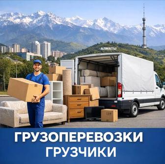 Грузчики 24/7