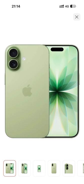 iPhone 17 green light