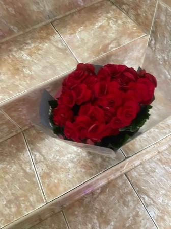 Бегония,Азалии,Каланхоии