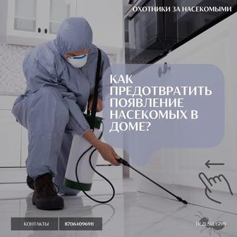 Дезинсекция Уничтожение клопов и тараканов