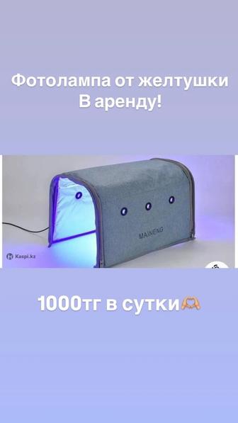 Аренда фотолампа от желтухи