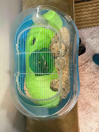 Хомячок в клетке