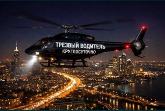 Трезвый водитель