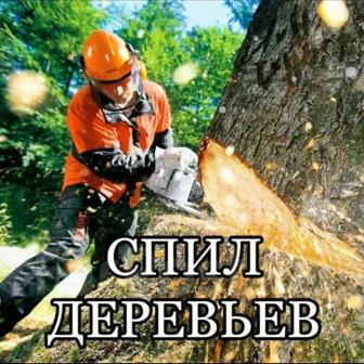 Спил деревьев