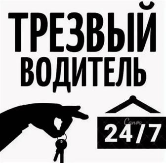 трезвый водитель