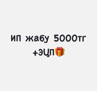 Бухгалтер онлайн ИП жабу