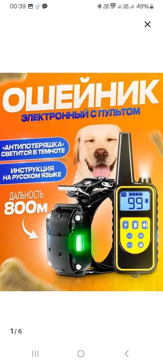 Электронный ошейник для собак