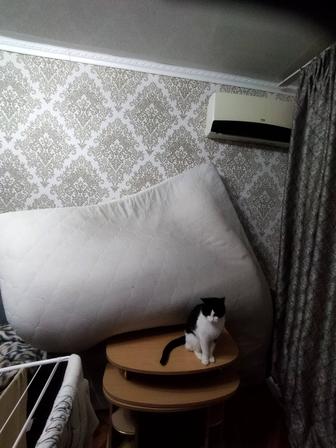 Отдам матрас даром