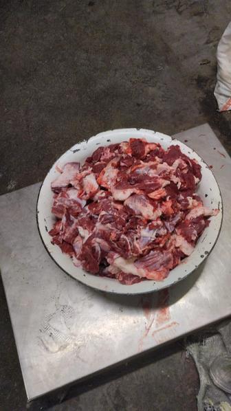 Гуляш головной