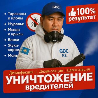 Уничтожение насекомых
