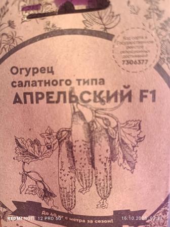Продам семена огурцов