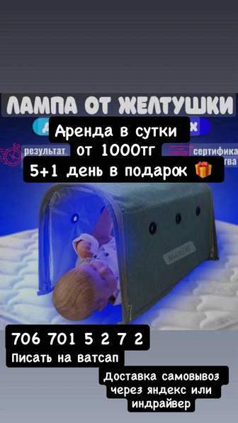 Аренда фотолампы от желтушки