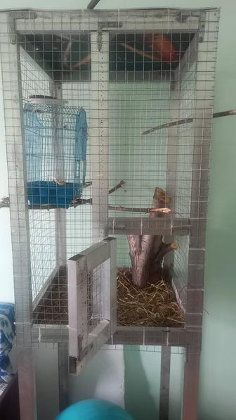 Продам клетку