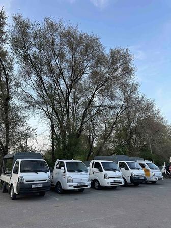 NN GROUP грузоперевозка по городу и обл