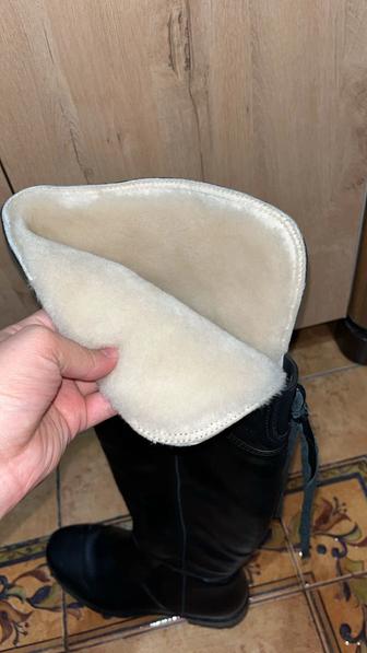 Женская обувь. Сапоги