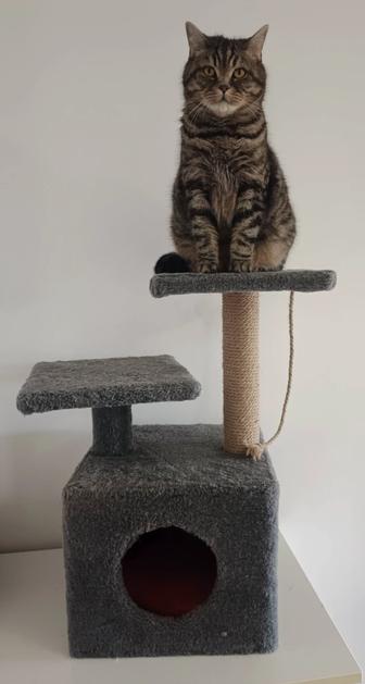Кладовщик заведующий складом