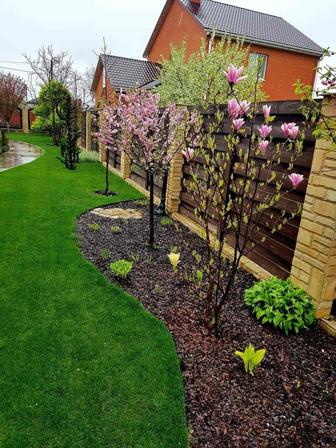 Ландшафтное-озеленение