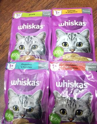 Продам кошачий корм