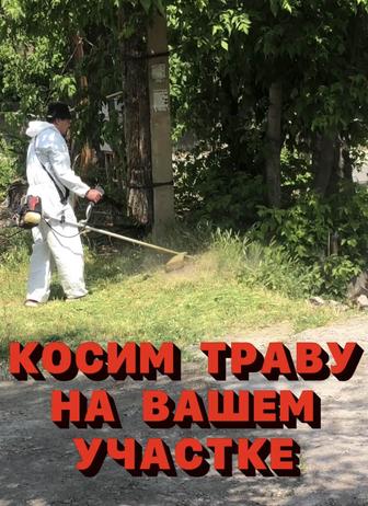 Скос травы