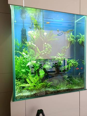 Перезапуск/ремонт аквариумов