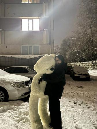 мягкую игрушку мишку