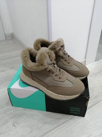 Зимный красовки