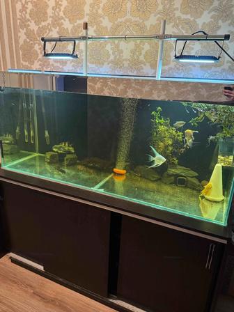 Аквариум 540 литров