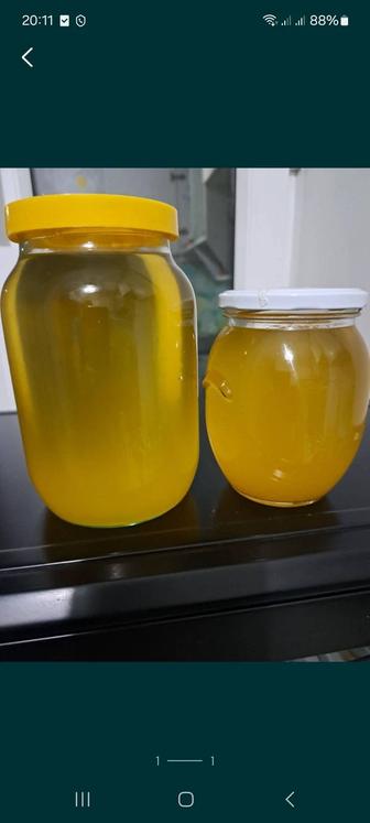 Жир сурчиный продам.
