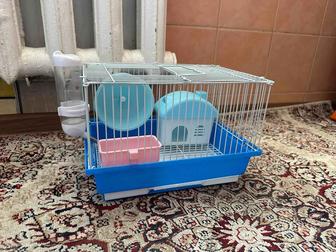 Клетка хомяка