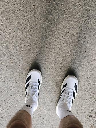 Кроссовки Adidas Adizero EVO SL UK 12.5
