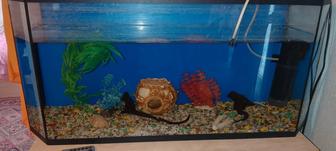 Продам Аквариум