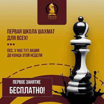 Профессиональный шахматная школа Orash Chess