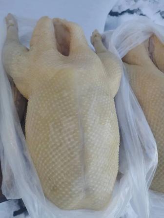 Продам мясо гуся .