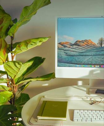 Продающие сайты для бизнеса и продвижение