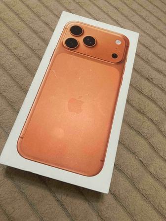 iPhone Pro Max 256 Orange