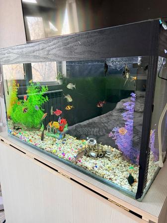 Аквариум с рыбками 80л