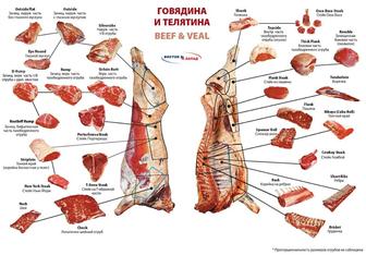 Мясо, сельхоз продукция.