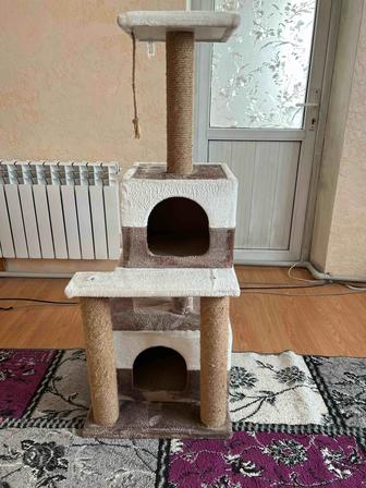 Домик-когтеточка для котят